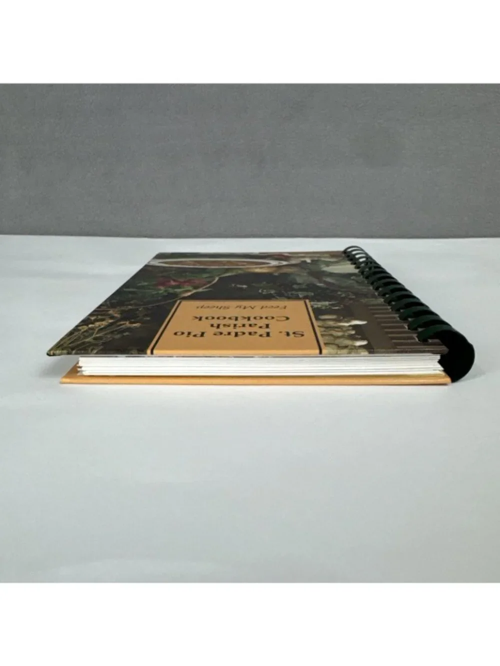 2015 St Padre Pio Parish Cookbook Oakfield New York